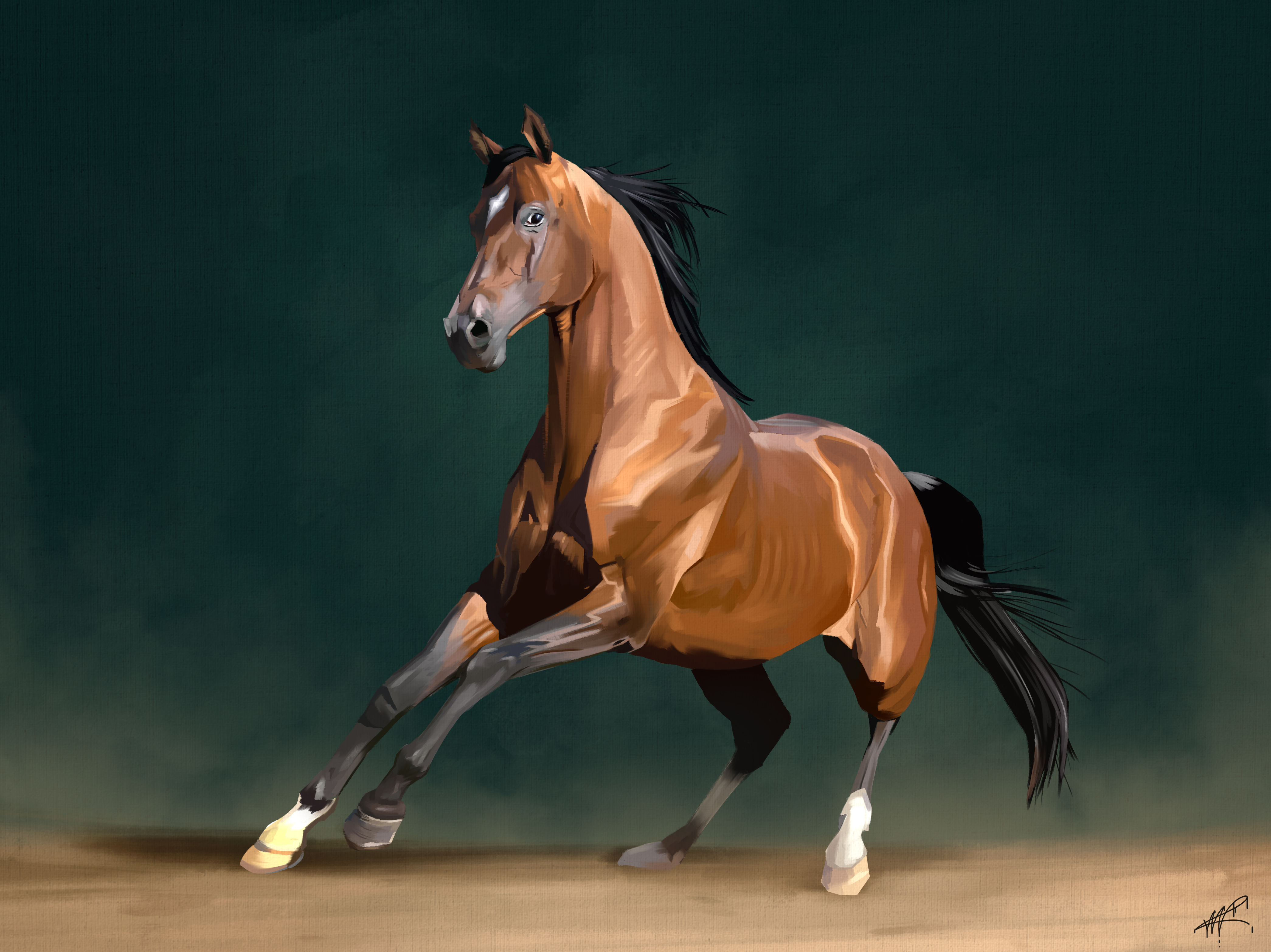 Digital Art Cheval