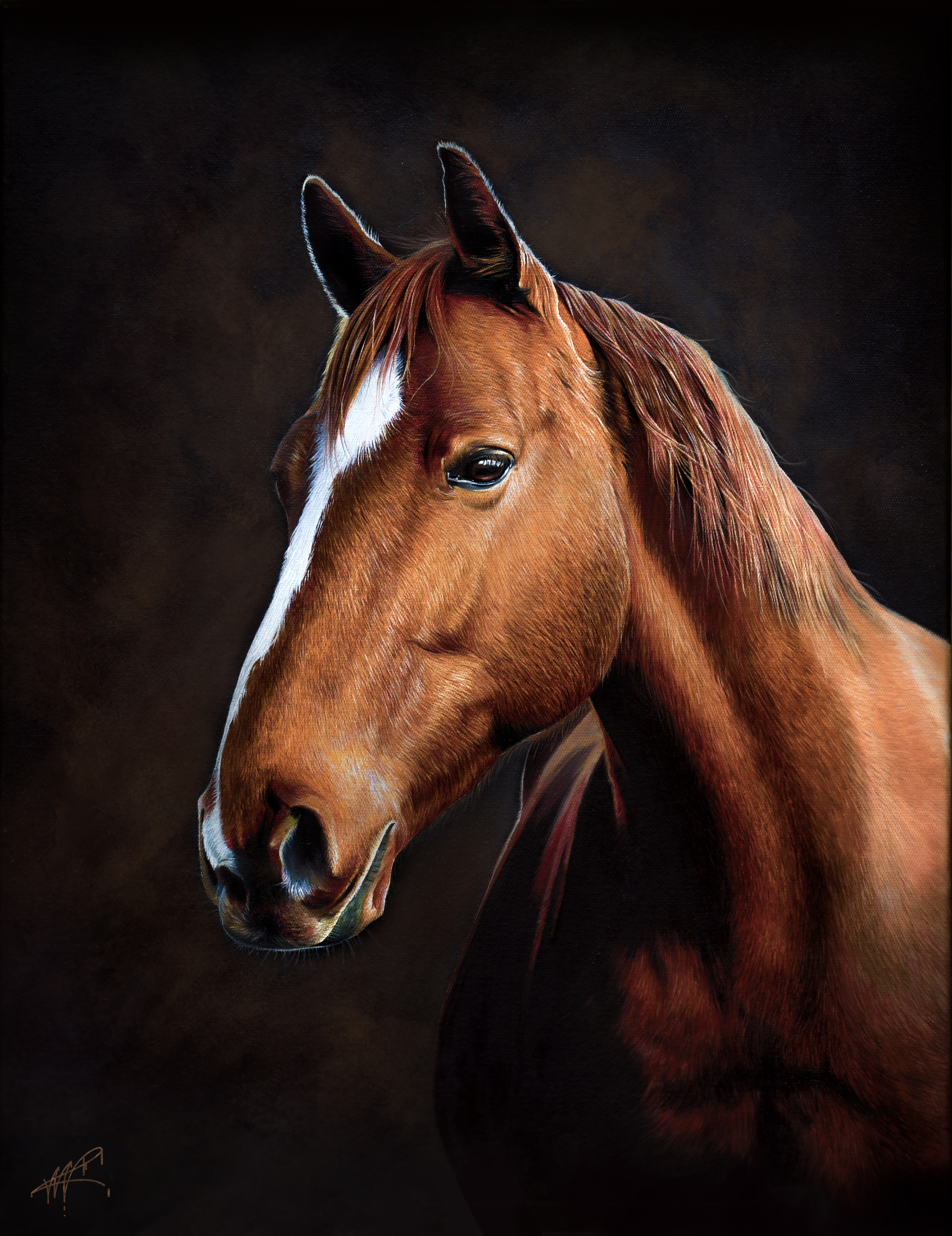 Peinture huile cheval