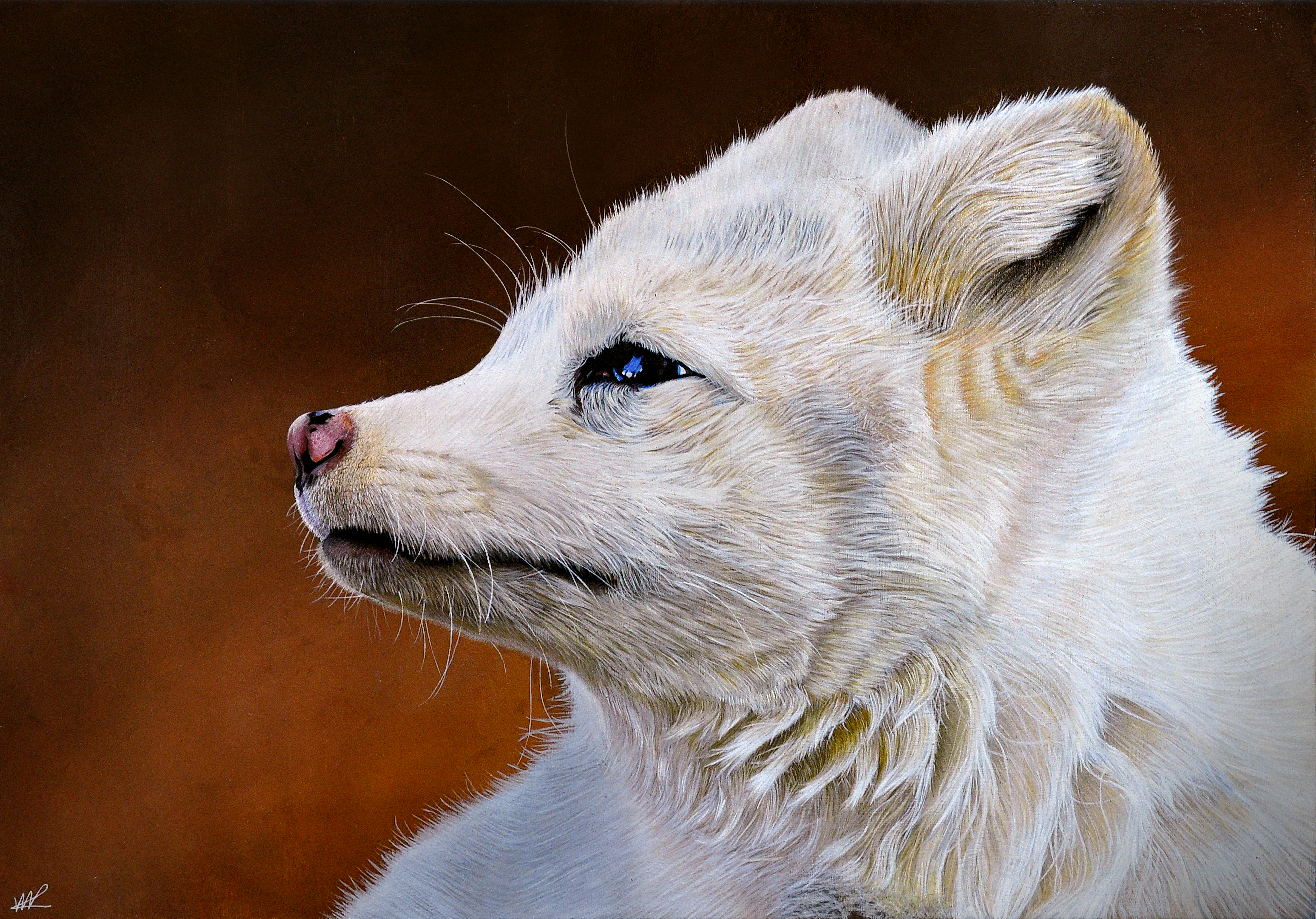 Peinture huile renard